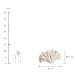 Deko-Objekt Blatt Höhe 21cm GINKGO In Creme -Butlers butlers deko objekt blatt hohe 21cm ginkgo in creme 3