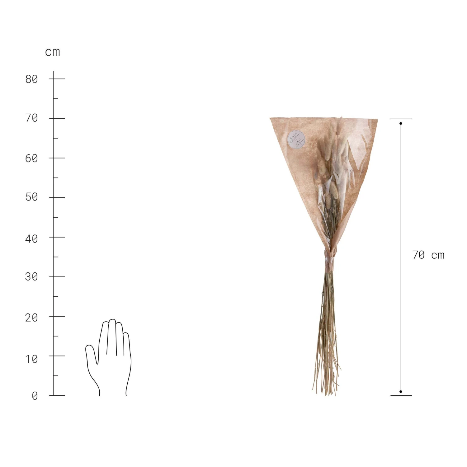 Trockenblumen Lagurusgras Länge 70cm FLOWER MARKET In Natur 3 Trockenblumen Lagurusgras Länge 70cm FLOWER MARKET In Natur – Bild 3