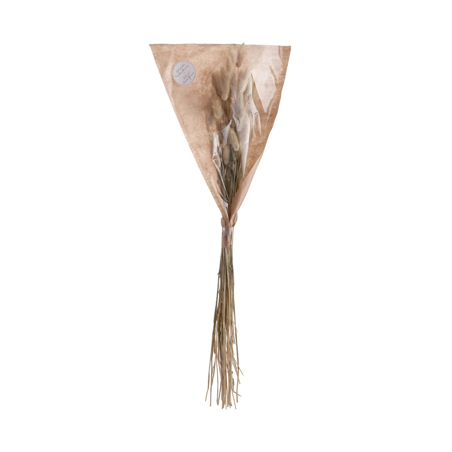 Trockenblumen Lagurusgras Länge 70cm FLOWER MARKET In Natur 4 Trockenblumen Lagurusgras Länge 70cm FLOWER MARKET In Natur – Bild 4